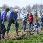 kiemkracht plantdag haag 259