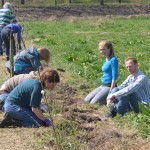 planten