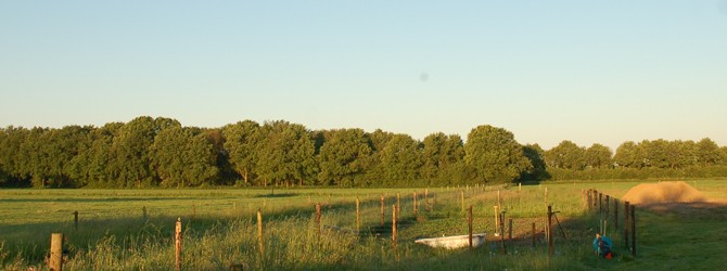 Landschap